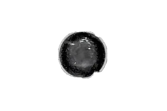 2026_06_20_1512582