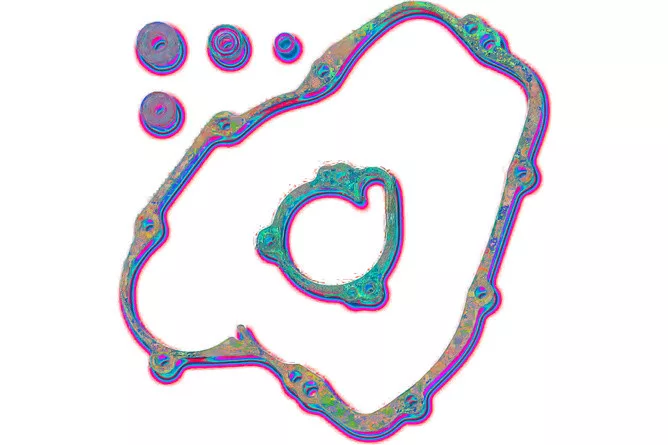 2026_06_20_1523554
